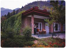 Inter  Continental The Grand Palace in Srinagar