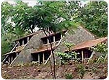Bison River Resort