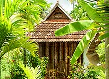 Alleppey Backwater Resorts