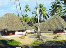 The Marari Beach in Alleppey