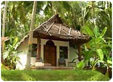 Nikki�s Nest Kovalam