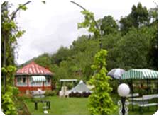Budget Hotels in Munnar