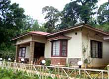 Olive Brook Munnar
