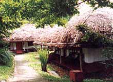 Spice Village-Nature habitat Periyar