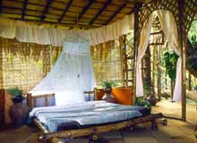 Hotels in the Resorts Wayanad 