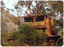 Green Magic Nature Resort Wayanad