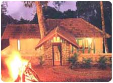 Jungle Park Resort & Tree Houses In Kerala 