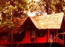 Hotels in Stream Valley Cottages Wayanad