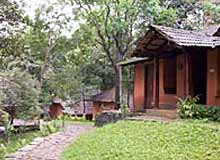 Hotels in Wayanad