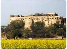 Hill Fort, Kesroli
