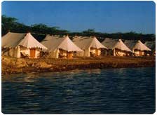 The Royal Camp