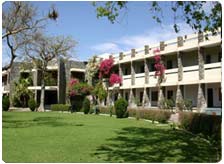  Hotels in Sariska