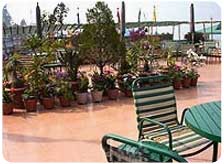 Premium Hotels in Gangtok 