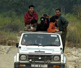 Jeep Safaris in Ranthambore National Park