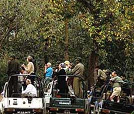Jeep Safaris in Sariska Wildlife Sanctuary