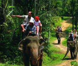 Transport Kabini Wildlife Sanctuary 