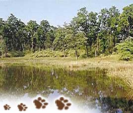 Climate in Kanha National Park