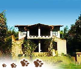 Wildlife Resorts in Kanha
