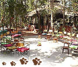 Kanha Jungle Lodge Kanha