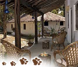 Kipling Camp Kanha, Madhya Pradesh