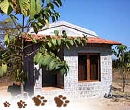 Mogli Resort Kanha