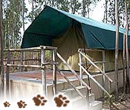Shergarh Tented Camp Kanha