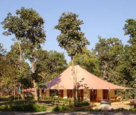 Tiger Corridor