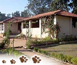 Tiger Land Resort Kanha