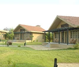 Tall Tiger Retreat