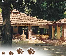 Wild Chalet Resort Kanha, Madhya Pradesh 