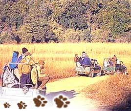 Transport in Kanha National Park