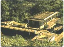 Coorg Tour Packages