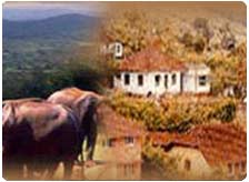 How to Reach Coorg 