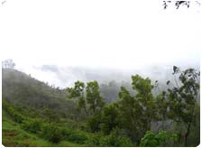 Tour to Mercara