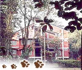Accommodation in Kaziranga National Park