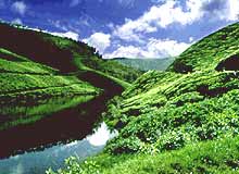 Munnar - Hill Station in Kerala