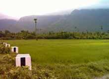 Nelliyampathy