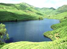 Palakkad
