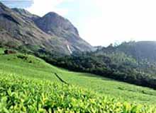 Vagamon Hill Station