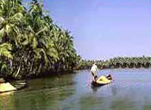 Kasargod Backwaters