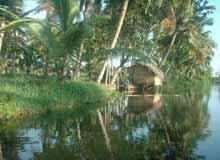 Kochi Backwaters
