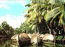 Kollam Backwaters