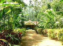 Spice Plantations in Kerala