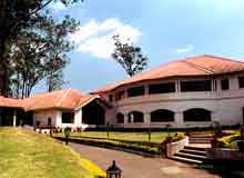 Tours to Munnar