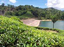 Munnar Tour Packages