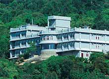 Tourist Attractions in Munnar