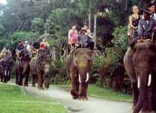How to Reach Periyar
