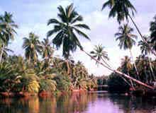 How to Reach Thiruvananthapuram