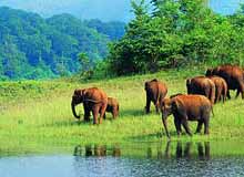 Periyar National Park