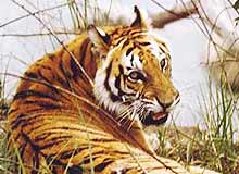 Wildlife Sanctuaries in Kerala